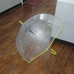 Shedrain Clear Bubble Umbrella